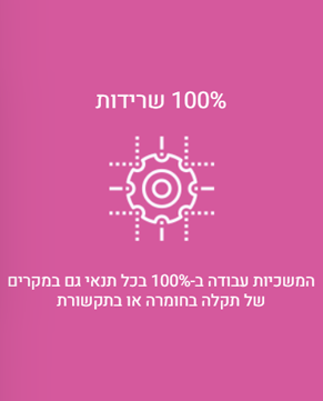 100% שרידות